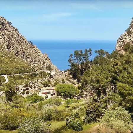 Finca Ses Fontanelles Andratx Eksteriør bilde