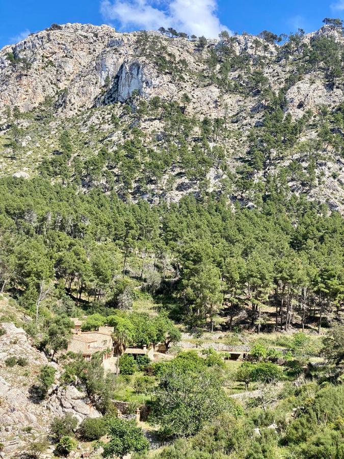 Finca Ses Fontanelles Andratx Eksteriør bilde