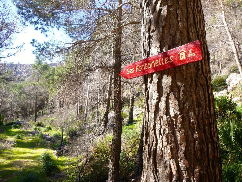 Finca Ses Fontanelles Andratx Eksteriør bilde