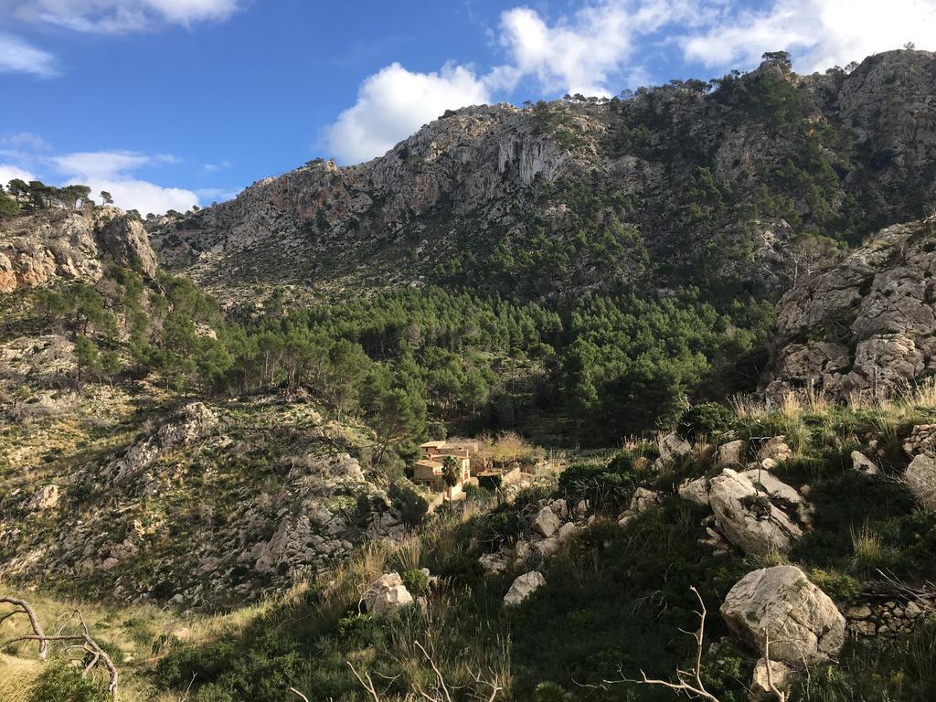 Finca Ses Fontanelles Andratx Eksteriør bilde