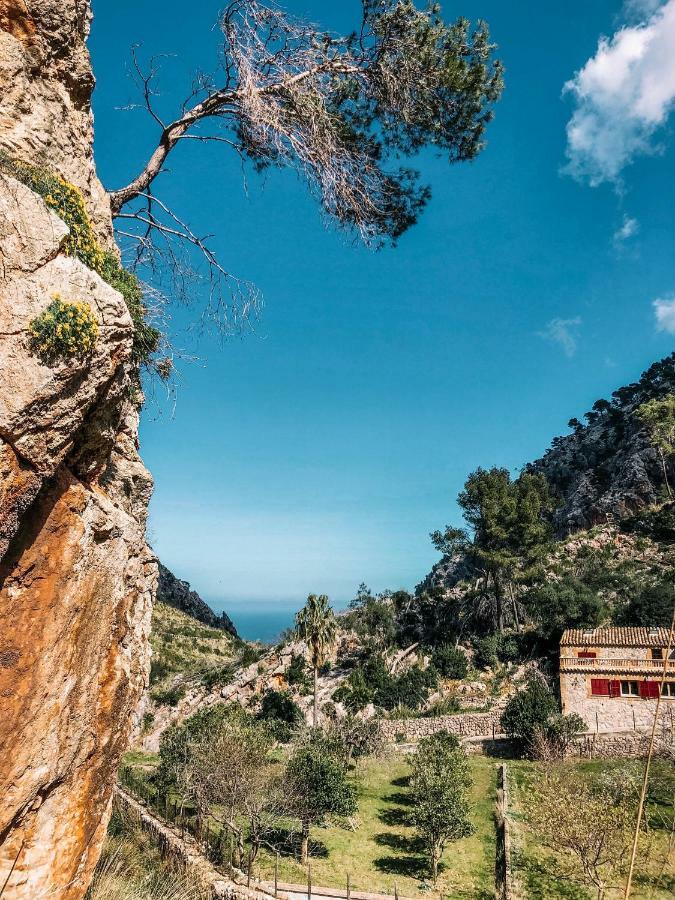 Finca Ses Fontanelles Andratx Eksteriør bilde