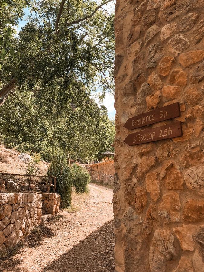 Finca Ses Fontanelles Andratx Eksteriør bilde